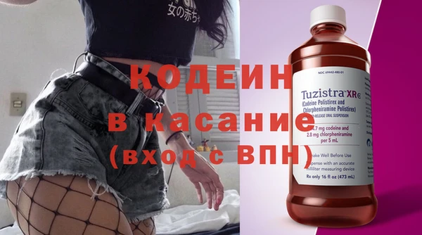 индика Верея