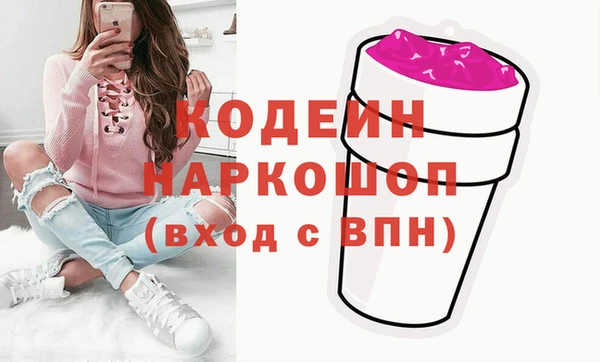 индика Верея