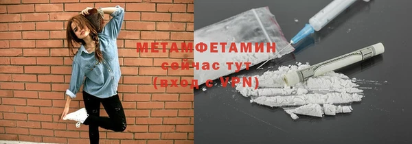 индика Верея