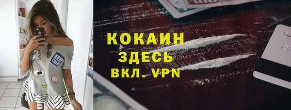 индика Верея