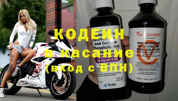 индика Верея