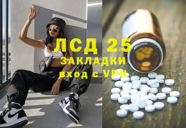 индика Верея