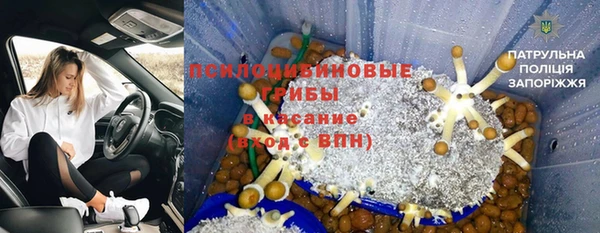 индика Верея