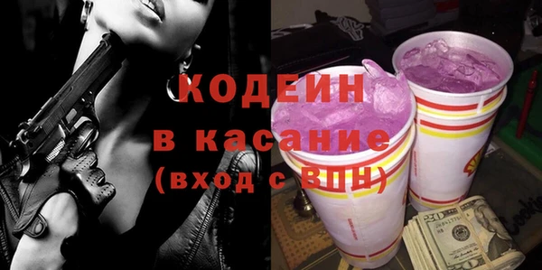 индика Верея