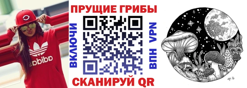 Псилоцибиновые грибы Psilocybine cubensis  Нижний Тагил 